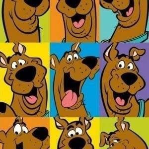 Meet your Posher, Mariana